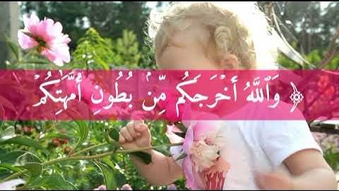 سورة النحل الآية (78) سبحان الخالق 💕