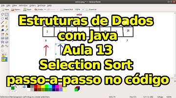 Aula 13 - Selection Sort - Estruturas de Dados com Java