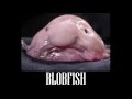 TRUE FACTS OF BLOBFISH - AQUARIUMS TO SEE THEM | #shotsTV S01E03