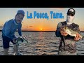 La Pesca, Tams. Perdi la apuesta / Intentamos rescatar una tortuga