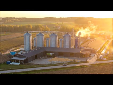 Maize Harvest 2025 🚀