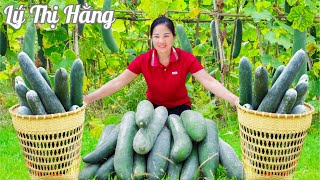 Harvesting Winter Melon & Go to the Market Sell - Harvesting & Cooking || Ly Thi Hang Daily Life