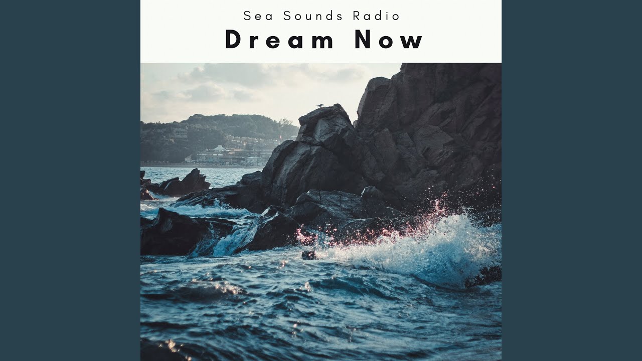 Nature REM Songs YouTube