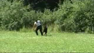 FanFan de Grande Vinko - ZTP