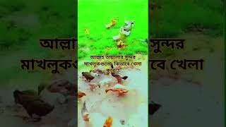 আল্লাহতালা কত সুন্দর করে মাখলুকগুলো সৃষ্টি করছেন,,, @hm.johirul22 vairal youtubeshorts story