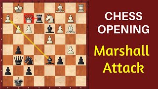 Chess Opening: Marshall Attack (Gambit)  Ruy Lopez