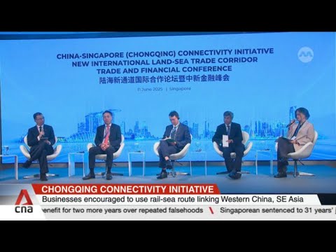 Businesses encouraged to use rail-sea route linking Western China and Southeast Asia