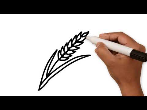 рожь.Как нарисовать рожь / rye. How to draw rye