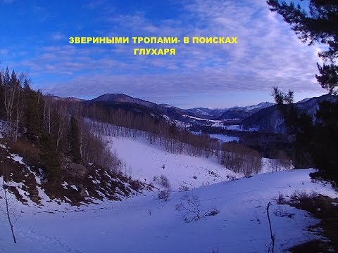 Video: Hádanka Spätného Toku Na Tehlových Stenách Z Neznámej Zbrane - Alternatívny Pohľad