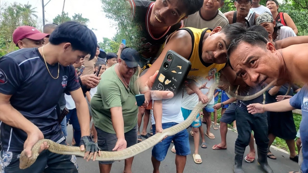 ANG PAGLALAKBAY SA ISABELLA  MAHULI LANG ANG NAPAKA BANGIS NA KING COBRA