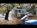 The lr plowing through snowy trees