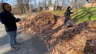Leaf clean up before we had the leaf vacuum. #landscaping #2020 #leafcleanup #leaves