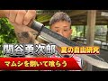 【サバイバル】関谷勇次郎が毒蛇【蝮】を喰らう⁈