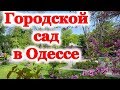 Городской сад Одессы. Достопримечательности Одессы