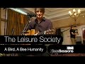 Capture de la vidéo The Leisure Society - A Bird A Bee Humanity - 2Seas Sessions