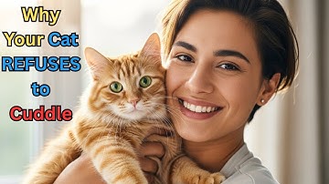 Why Your Cat REFUSES to Cuddle (and How to Fix It — Fast!)