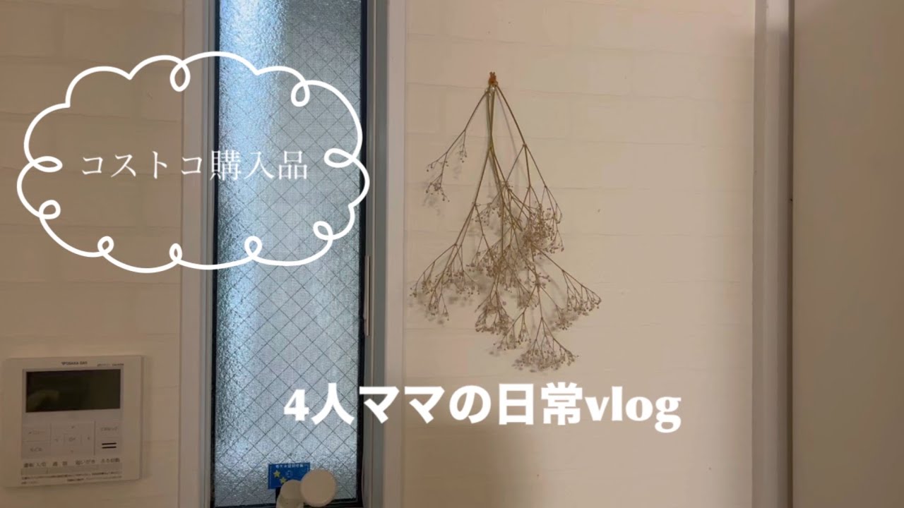 4人のママ🌷コストコ購入品 ／主婦の日常vlog