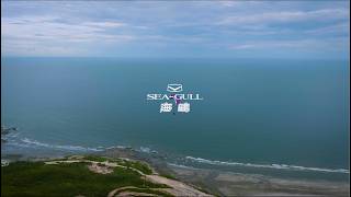 Soar Through Time with Seagull Aviation Series