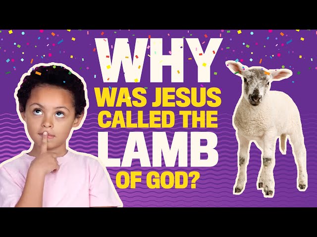 Baby Jesus Lamb Of God