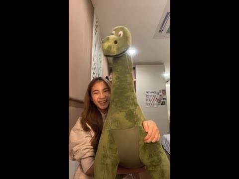 ➥Paeyah BNK48 ของขวัญต้อนรับน้องเปกลับบ้าน 🦕🦕