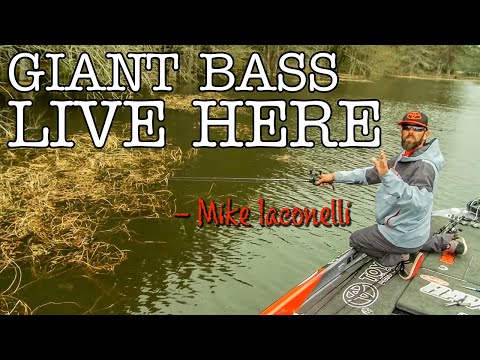Flipping & Pitching Heavy Cover - Mike Iaconelli : Remastered