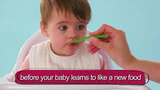 What to expect when introducing first foods