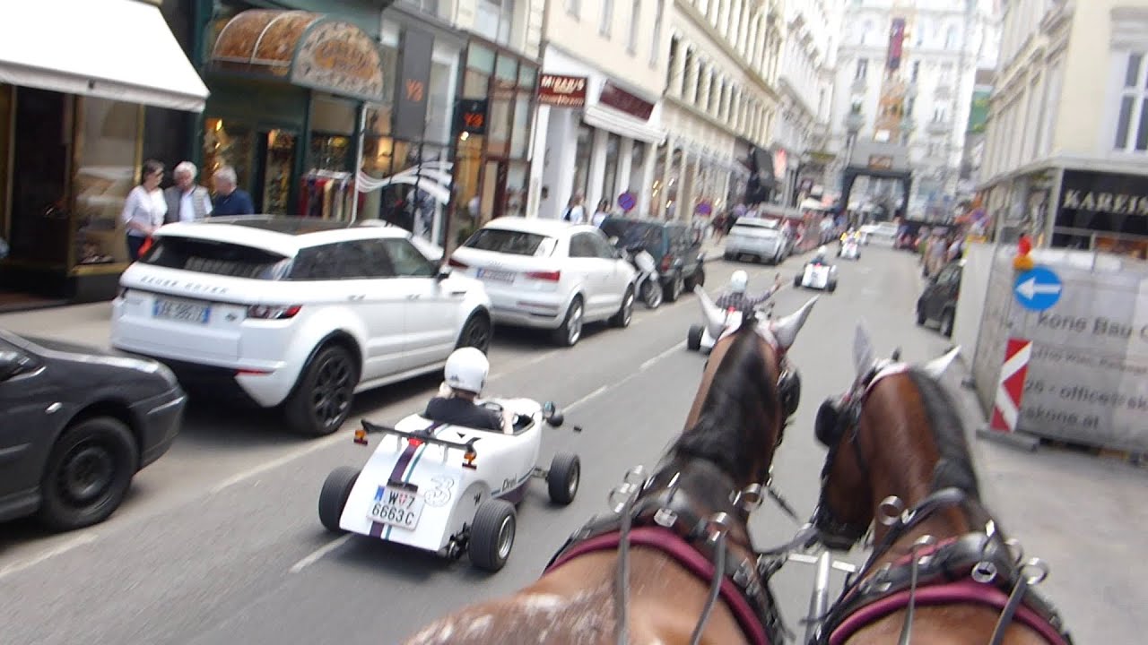 Wiener Pferde treffen auf die Hobbits! - #animals #vienna #horse