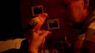 Jasmine Kissing 2011 063