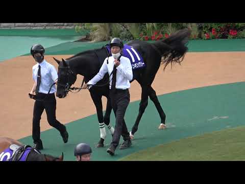 2021 第71回安田記念GⅠ パドック 現地映像 ダノンキングリー
