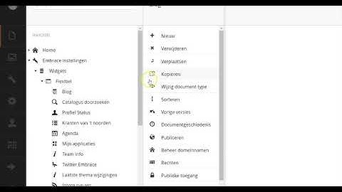 Umbraco tutorial 4:  Vaste en flexibele widgets