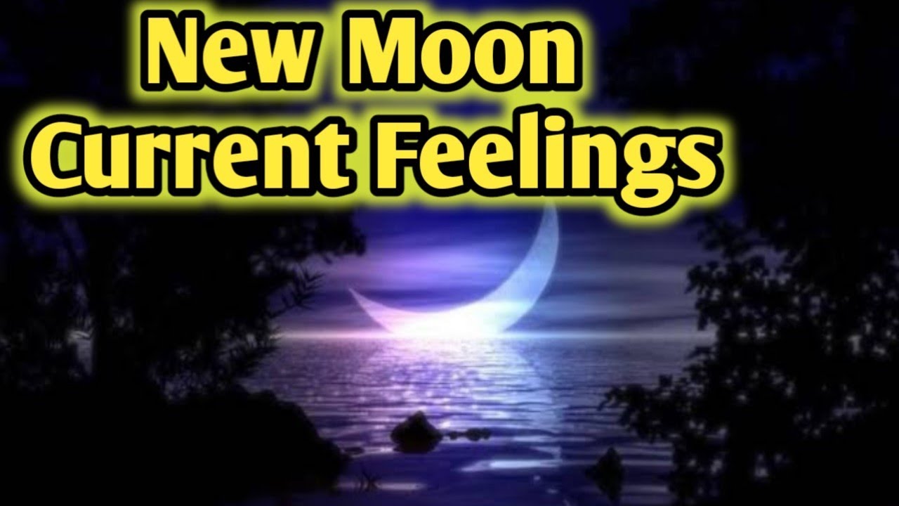 New Moon 🌙 Effect On Collectives ☯️ Current Feelings Next Action With ...