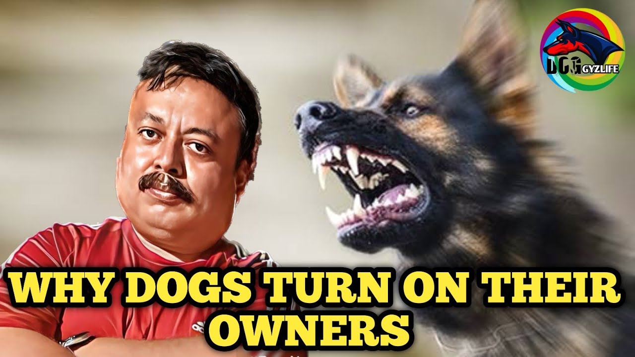Why Dogs Turn On Their Owners? Kya Dog Ko Baandh Kar Rakhna Sahi Hai