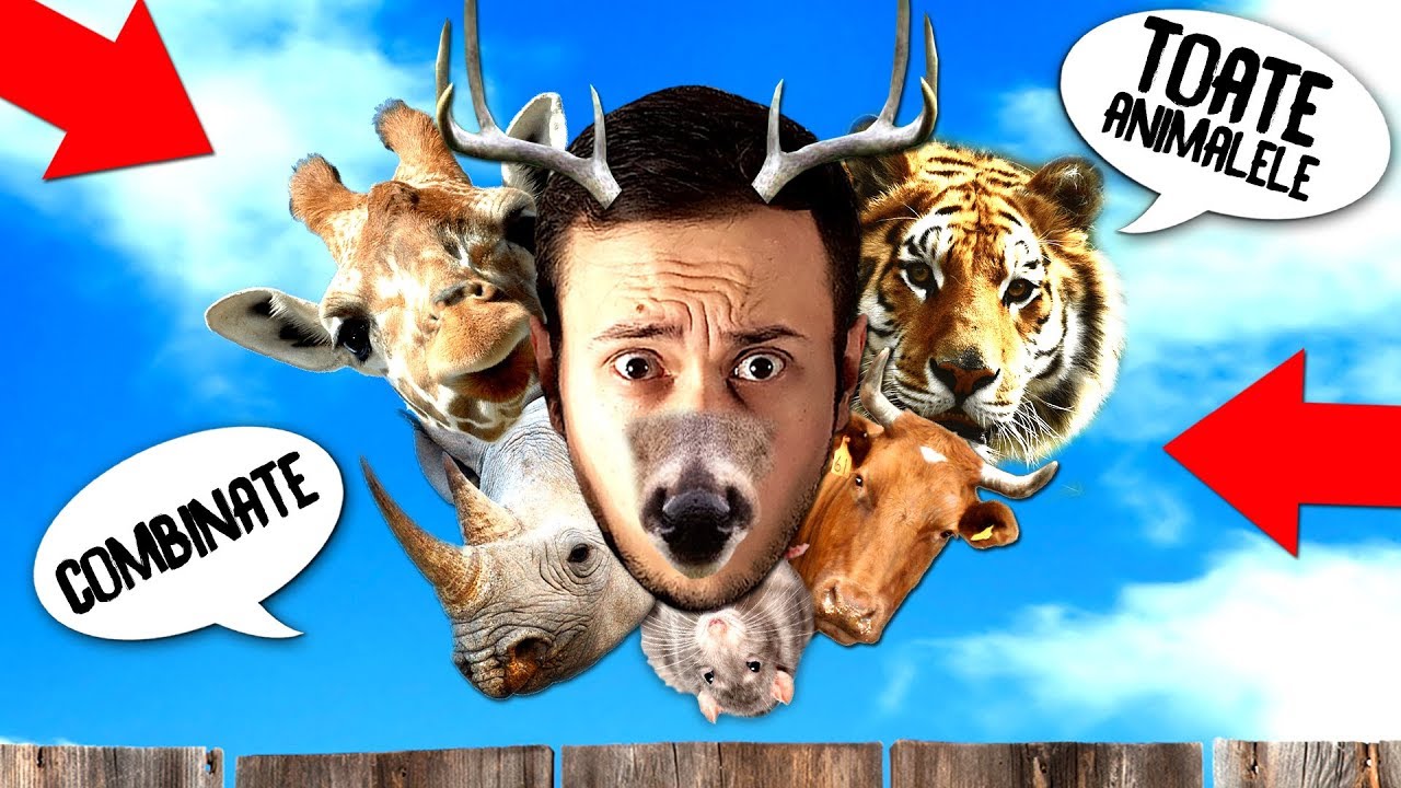 Combinam TOATE ANIMALELE! Ce iese ?
