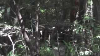 サバゲikusa20120825