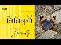 मिलिजुलीः पुतलीकाे परिचय | Milijuli, an educational series, Episode #1: Introduction to Butterfly