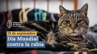 Día Mundial contra la Rabia