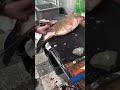 Как быстро почистить рыбу.