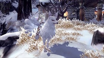 Dragon Nest(TH):Test mod