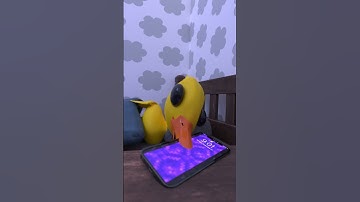 Thumbnail of The Best Alarm Clock Ever🤣😻 #meme #funny #babyduck