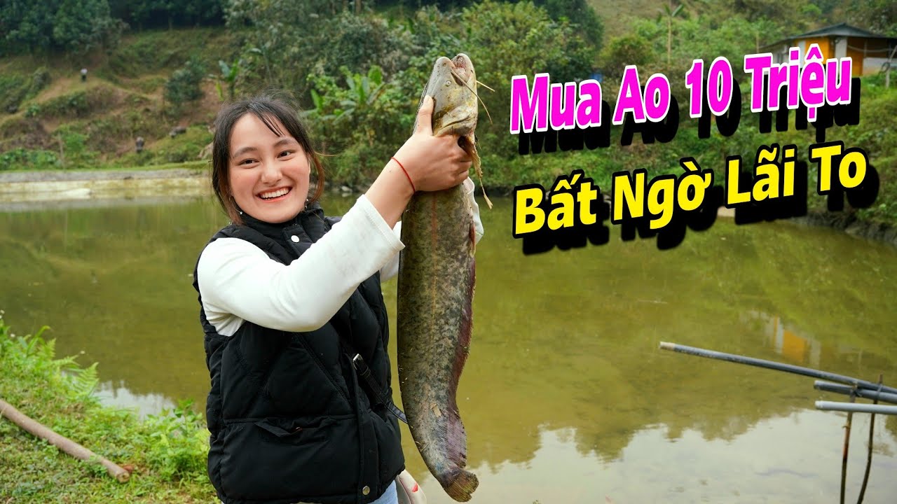 Song Nhi Mua Ao Cá Tự Nhiên giá 10 Triệu BẤT NGỜ LÃI TO