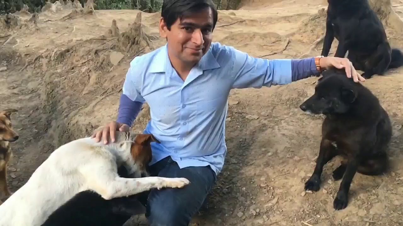 Animals need love too (2) - YouTube