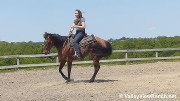 Starlight Oaklyn - lope-offs, lead changes, big stop, spins! - ValleyViewRanch.net