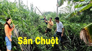 Bắt Chuột Miền Tây ChưaThấy Buổi Đi Săn Nào Như Thế Này/Catch The Mouse/NGÃ NĂM TV