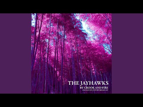 Leave No Gold (Live)