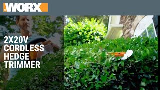 40V Power Share Hedge Trimmer (2x20V) | Product Preview