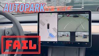 Tesla Autopark Failure (Vision-Based Self Parking)