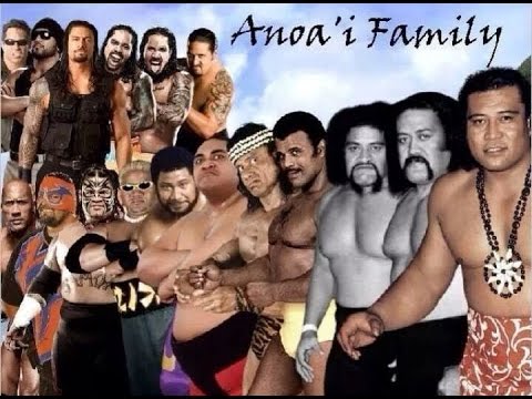 family wwe wrestling anoa roman reigns anoai rock related anoai families wrestlers stars history dynasty joe