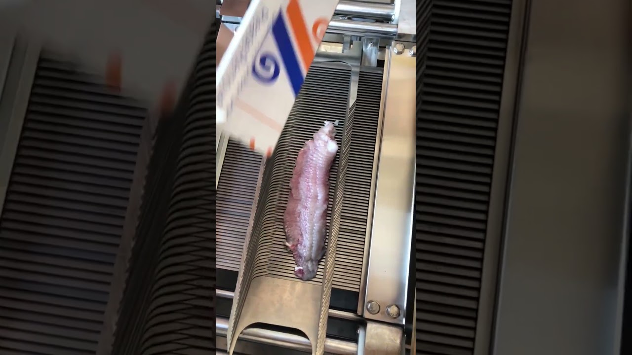 A tool that can quickly fillet fish!