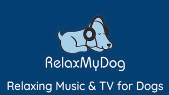 TV for Dogs! 8 HOURS of Fun Entertainment for Bored Dogs + Music! NEW