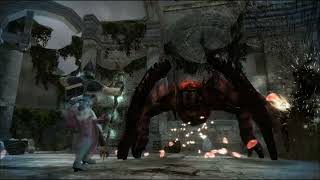 Vindictus - FairyTail West Hidden Duo redo